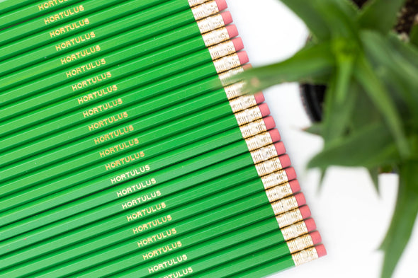 Custom Hexagon Pencils